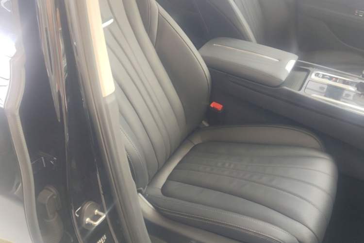Used Hongqi H5 2023 2.0T Automatic Smart Connect Flagship Edition Right Front Seat