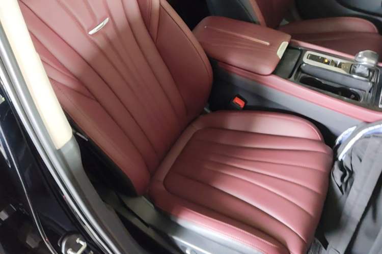 Used Hongqi H5 2023 1.5T DCT Smart Connect Flagship Edition Right Front Seat