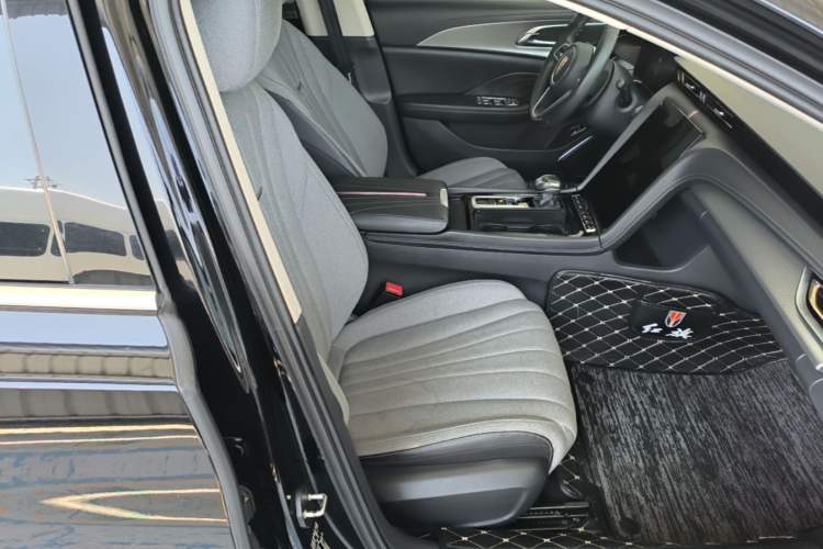 Used Hongqi H5 2023 1.5T DCT Smart Connect Flagship Edition Right Front Seat