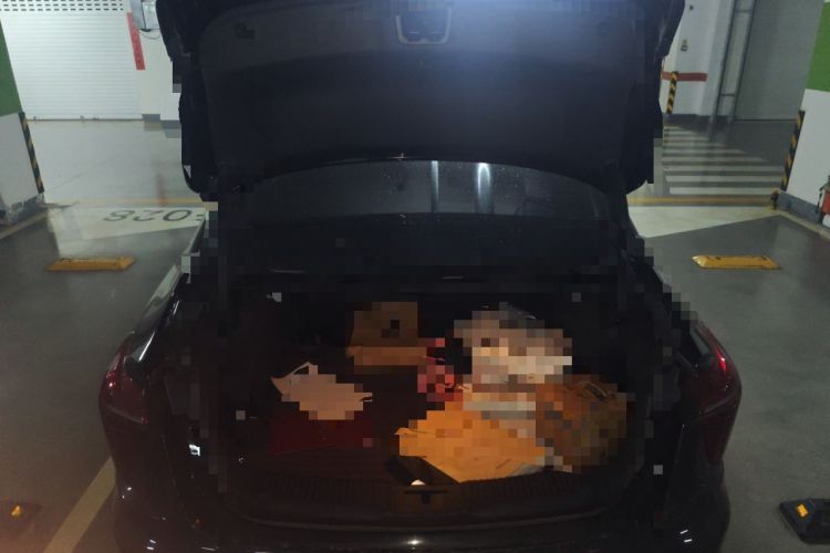Used Hongqi H5 2023 1.5T DCT Smart Connect Flagship Edition Trunk