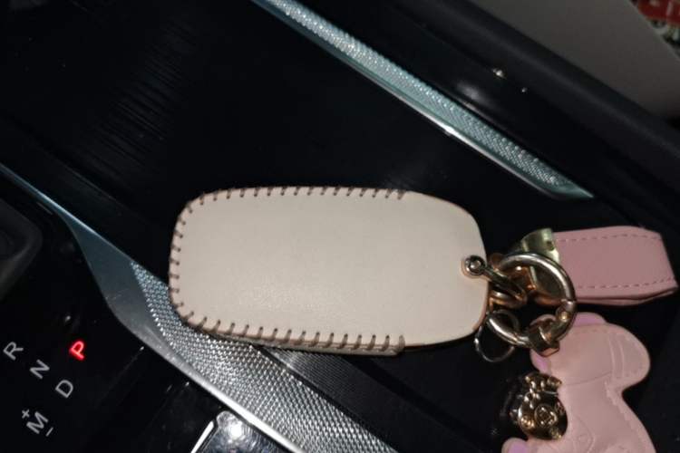 Used Hongqi H5 2023 2.0T Automatic Smart Connect Flagship Edition Vehicle Key