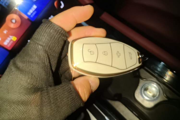 Used Hongqi H5 2023 2.0T Automatic Smart Connect Flagship Edition Vehicle Key