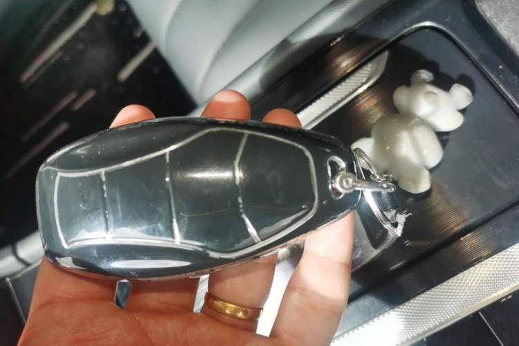 Used Hongqi H5 2023 1.5T DCT Smart Connect Flagship Edition Vehicle Key