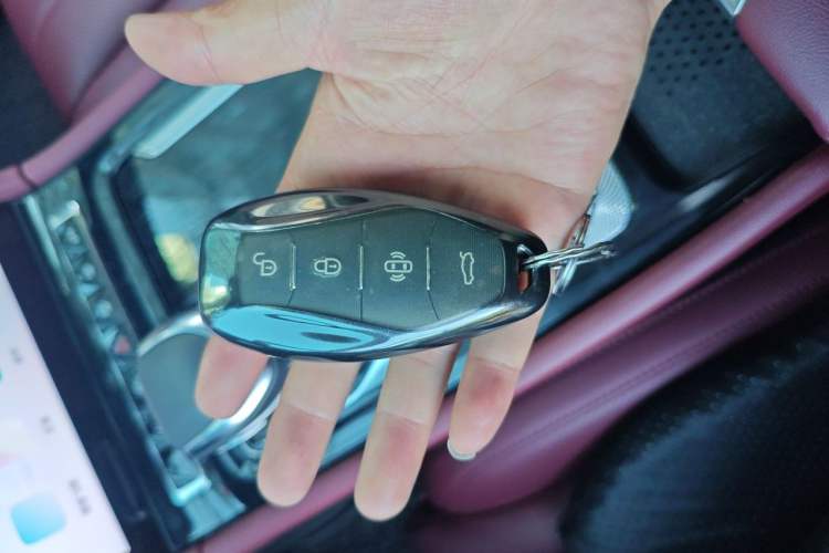 Used Hongqi H5 2023 2.0T Automatic Smart Connect Flagship Edition Vehicle Key