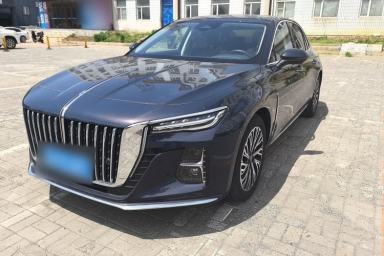 Used Hongqi H5 2023 2.0T Automatic Smart Connect Flagship Edition