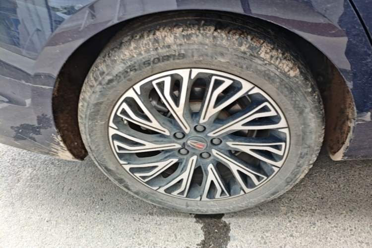Used Hongqi H5 2023 2.0T Automatic Smart Connect Flagship Edition Exterior 5