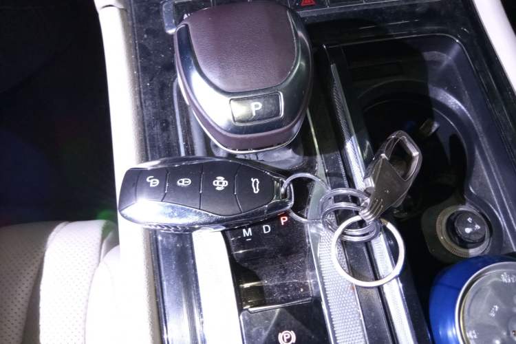 Used Hongqi H5 2023 2.0T Automatic Smart Connect Flagship Edition Gear Lever