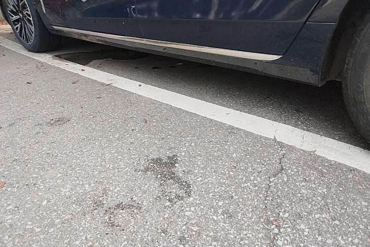 Used Hongqi H5 2023 2.0T Automatic Smart Connect Flagship Edition Left Side Sill
