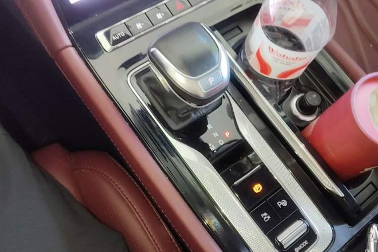 Used Hongqi H5 2023 2.0T Automatic Smart Connect Flagship Edition Gear Lever
