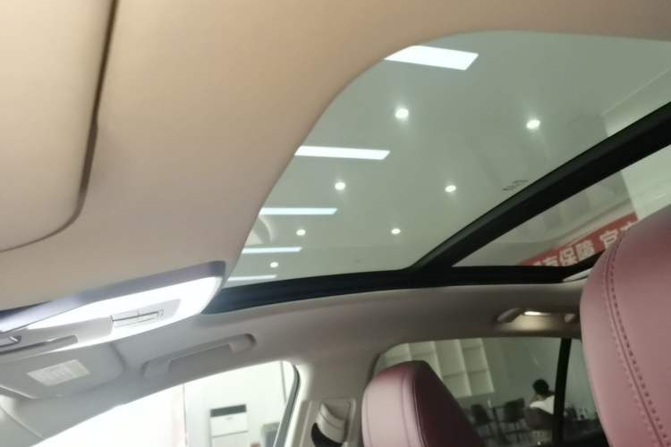 Used Hongqi H5 2023 2.0T Automatic Smart Connect Flagship Edition Headliner