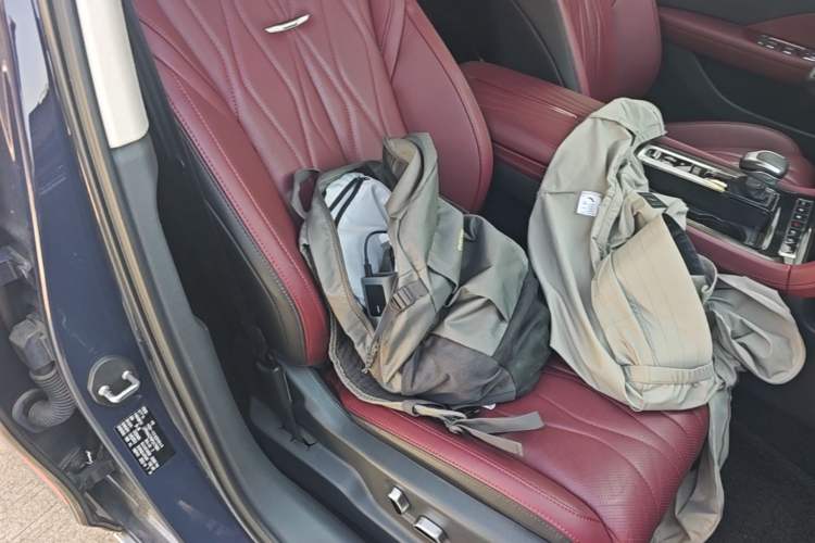 Used Hongqi H5 2023 2.0T Automatic Smart Connect Flagship Edition Right Front Seat