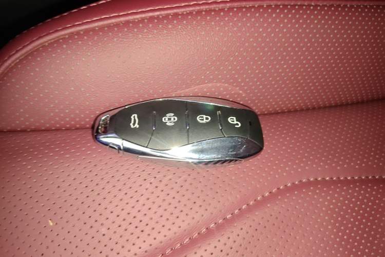 Used Hongqi H5 2023 2.0T Automatic Smart Connect Flagship Edition Vehicle Key
