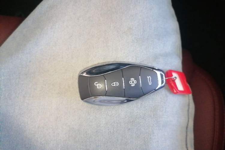 Used Hongqi H5 2023 2.0T Automatic Smart Connect Flagship Edition Vehicle Key