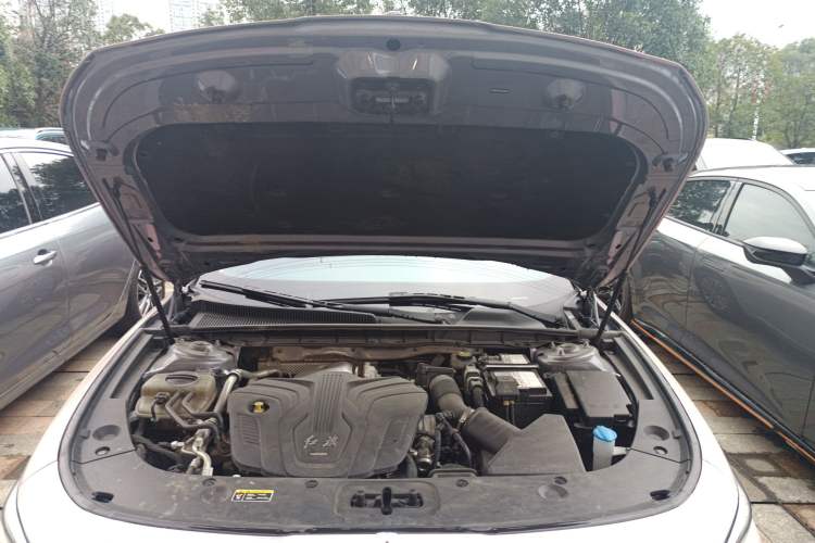 Used Hongqi H5 2023 2.0T Automatic Smart Connect Flagship Edition Engine Bay
