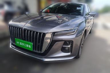 Used Hongqi H5 2023 2.0T Automatic Smart Connect Flagship Edition