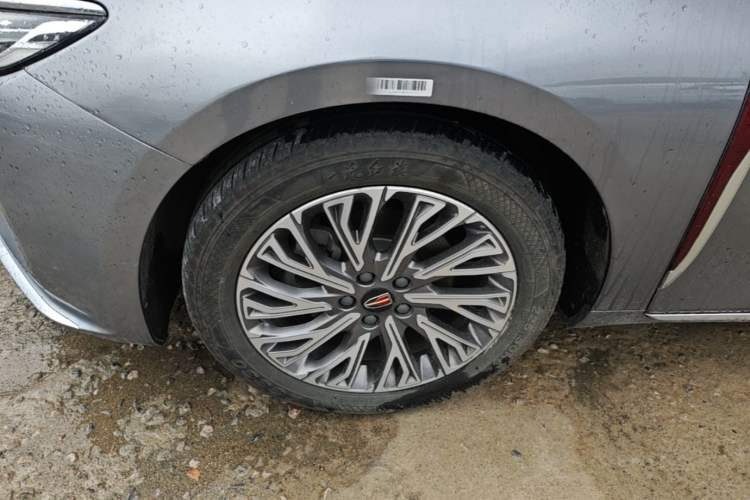 Used Hongqi H5 2023 2.0T Automatic Smart Connect Flagship Edition Exterior 4