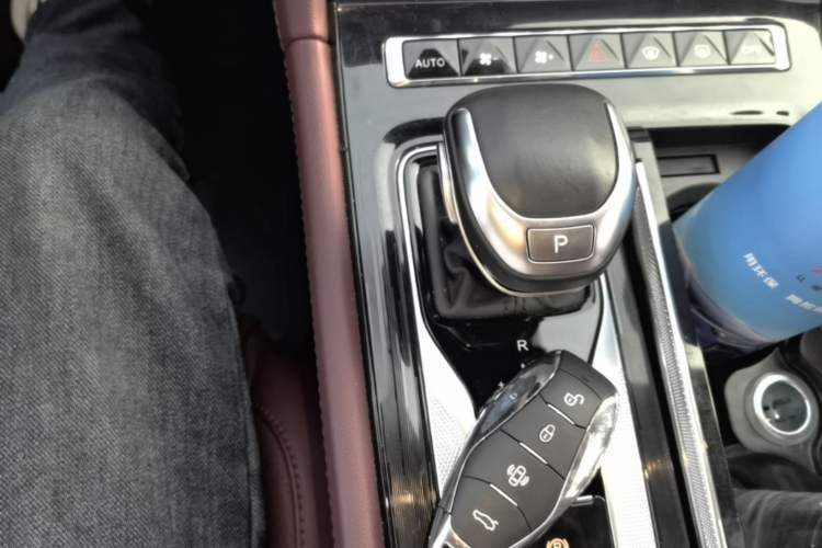 Used Hongqi H5 2023 2.0T Automatic Smart Connect Flagship Edition Gear Lever
