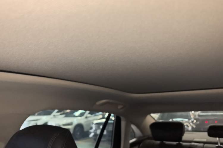 Used Hongqi H5 2023 2.0T Automatic Smart Connect Flagship Edition Headliner