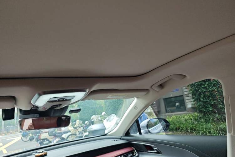 Used Hongqi H5 2023 2.0T Automatic Smart Connect Flagship Edition Headliner