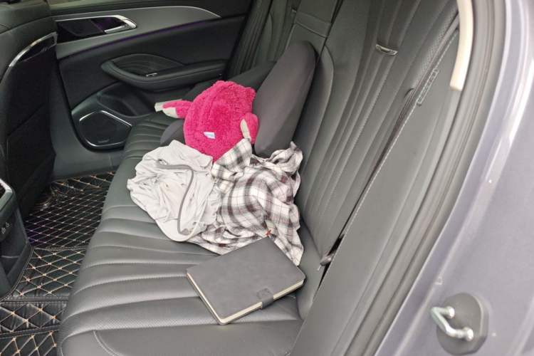 Used Hongqi H5 2023 2.0T Automatic Smart Connect Flagship Edition Left Rear Seat