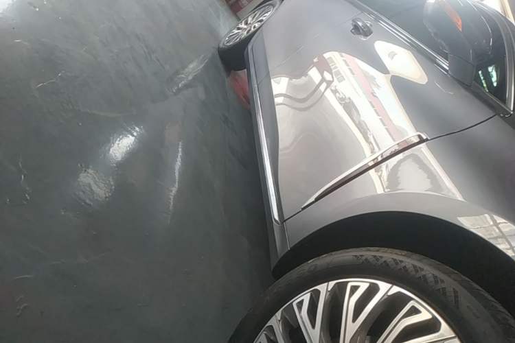 Used Hongqi H5 2023 1.5T HEV Smart Connect Flagship Edition Right Side Sill