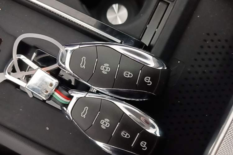 Used Hongqi H5 2023 2.0T Automatic Smart Connect Flagship Edition Vehicle Key
