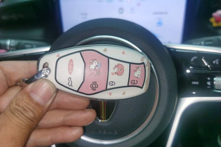 Used Hongqi H5 2023 2.0T Automatic Smart Connect Flagship Edition Vehicle Key