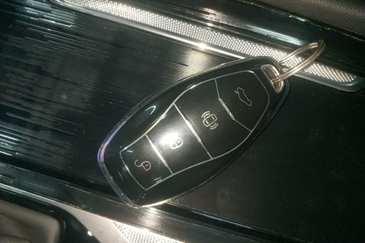 Used Hongqi H5 2023 1.5T HEV Smart Connect Flagship Edition Vehicle Key