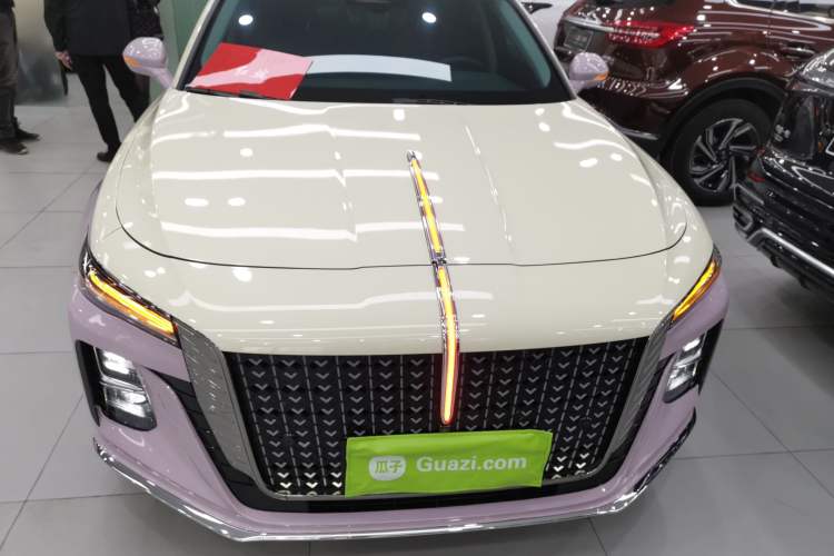 Used Hongqi H5 2023 2.0T Automatic Smart Connect Flagship Edition Exterior 1