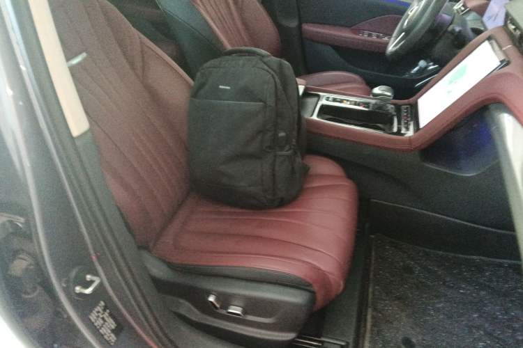 Used Hongqi H5 2023 2.0T Automatic Smart Connect Flagship Edition Right Front Seat