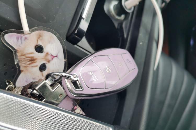 Used Hongqi H5 2023 1.5T HEV Smart Connect Flagship Edition Interior 1