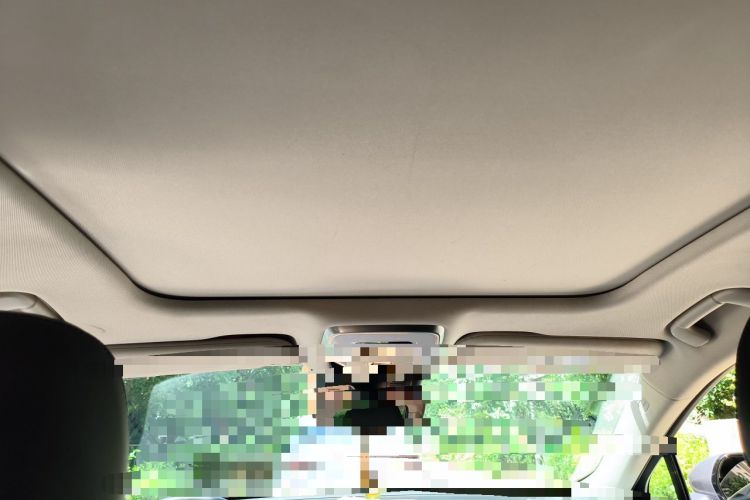 Used Hongqi H5 2023 2.0T Automatic Smart Connect Flagship Edition Headliner