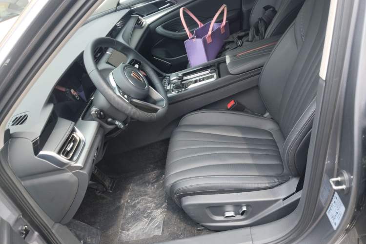 Used Hongqi H5 2023 1.5T DCT Smart Connect Flagship Edition Left Front Seat