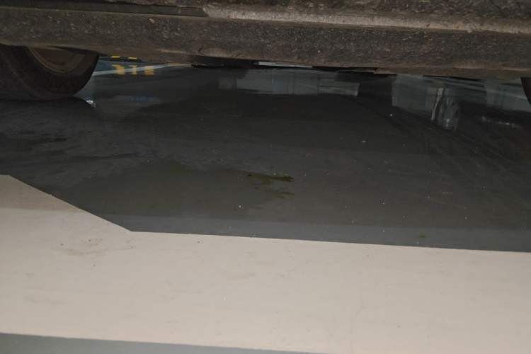Used Hongqi H5 2024 2.0T Automatic Smart Connect Flagship Edition Chassis Front
