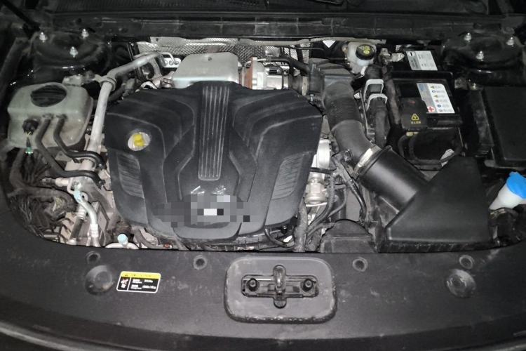 Used Hongqi H5 2024 2.0T Automatic Smart Connect Flagship Edition Engine Bay