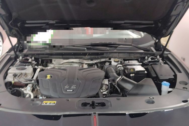 Used Hongqi H5 2024 2.0T Automatic Smart Connect Flagship Edition Engine Bay