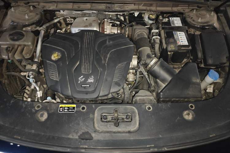 Used Hongqi H5 2024 2.0T Automatic Smart Connect Flagship Edition Engine Bay