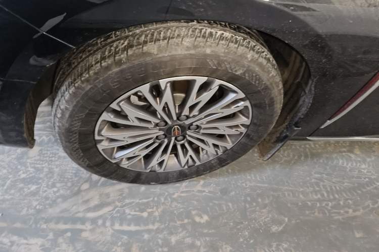 Used Hongqi H5 2024 2.0T Automatic Smart Connect Flagship Edition Exterior 4