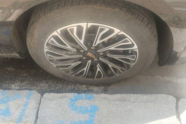 Used Hongqi H5 2024 2.0T Automatic Smart Connect Flagship Edition Exterior 4