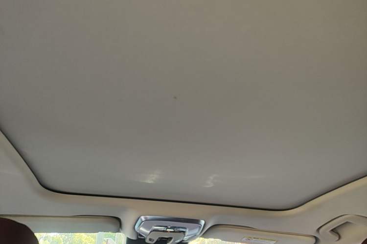 Used Hongqi H5 2024 2.0T Automatic Smart Connect Flagship Edition Headliner