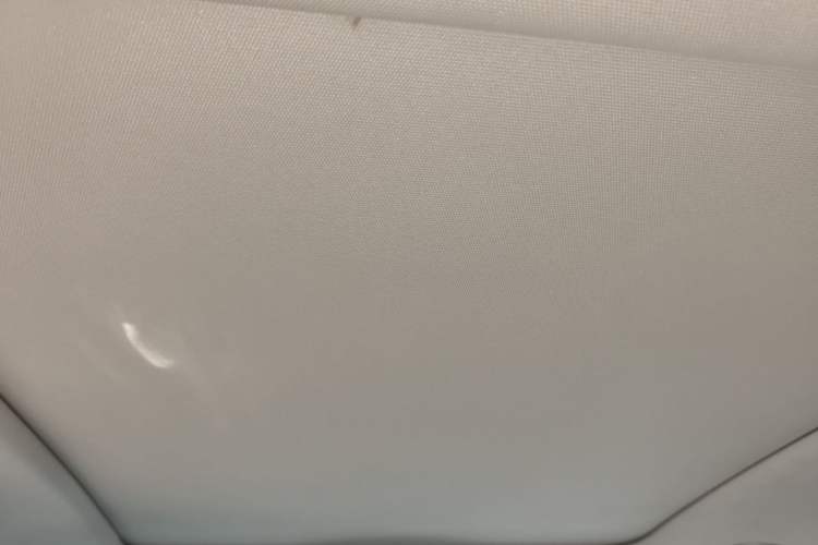 Used Hongqi H5 2024 2.0T Automatic Smart Connect Flagship Edition Headliner