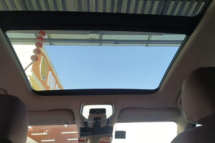 Used Hongqi H5 2024 2.0T Automatic Smart Connect Flagship Edition Headliner
