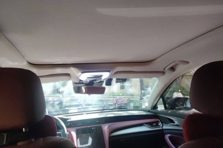 Used Hongqi H5 2024 1.5T DCT Smart Connect Flagship Edition Headliner