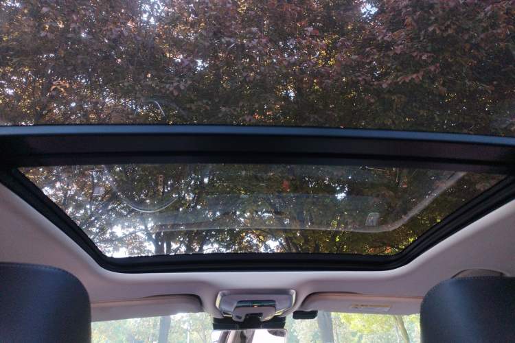 Used Hongqi H5 2024 1.5T DCT Smart Connect Flagship Edition Headliner