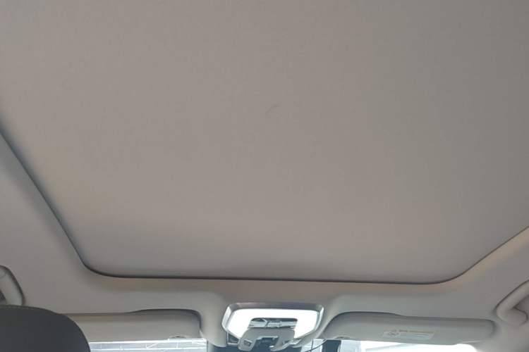 Used Hongqi H5 2024 1.5T DCT Smart Connect Flagship Edition Headliner
