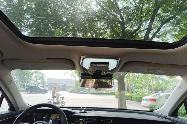 Used Hongqi H5 2024 1.5T DCT Smart Connect Flagship Edition Headliner