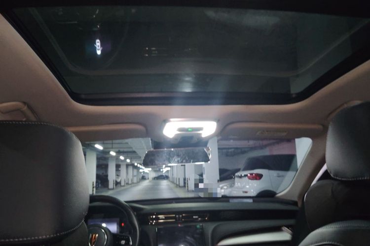Used Hongqi H5 2024 1.5T DCT Smart Connect Flagship Edition Headliner
