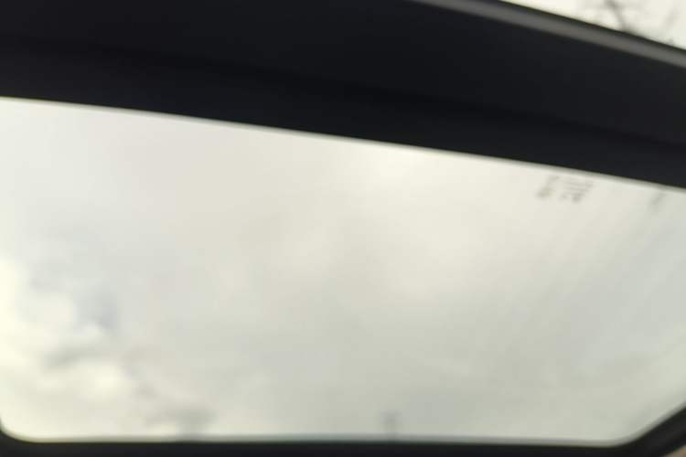 Used Hongqi H5 2024 1.5T DCT Smart Connect Flagship Edition Headliner
