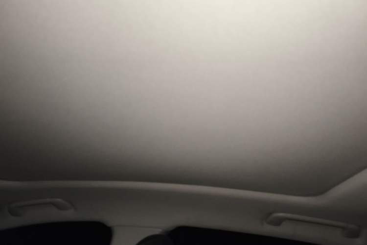 Used Hongqi H5 2024 1.5T DCT Smart Connect Flagship Edition Headliner