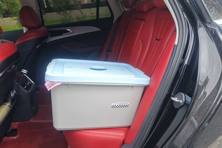 Used Hongqi H5 2024 1.5T DCT Smart Connect Flagship Edition Interior 4